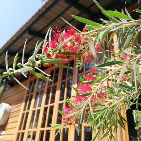 Paiyannoi Guesthome Chiang Mai Dış mekan fotoğraf