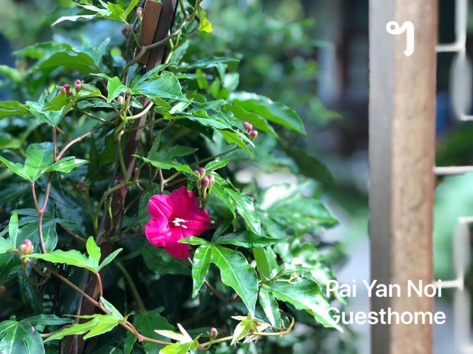 Paiyannoi Guesthome Chiang Mai Dış mekan fotoğraf