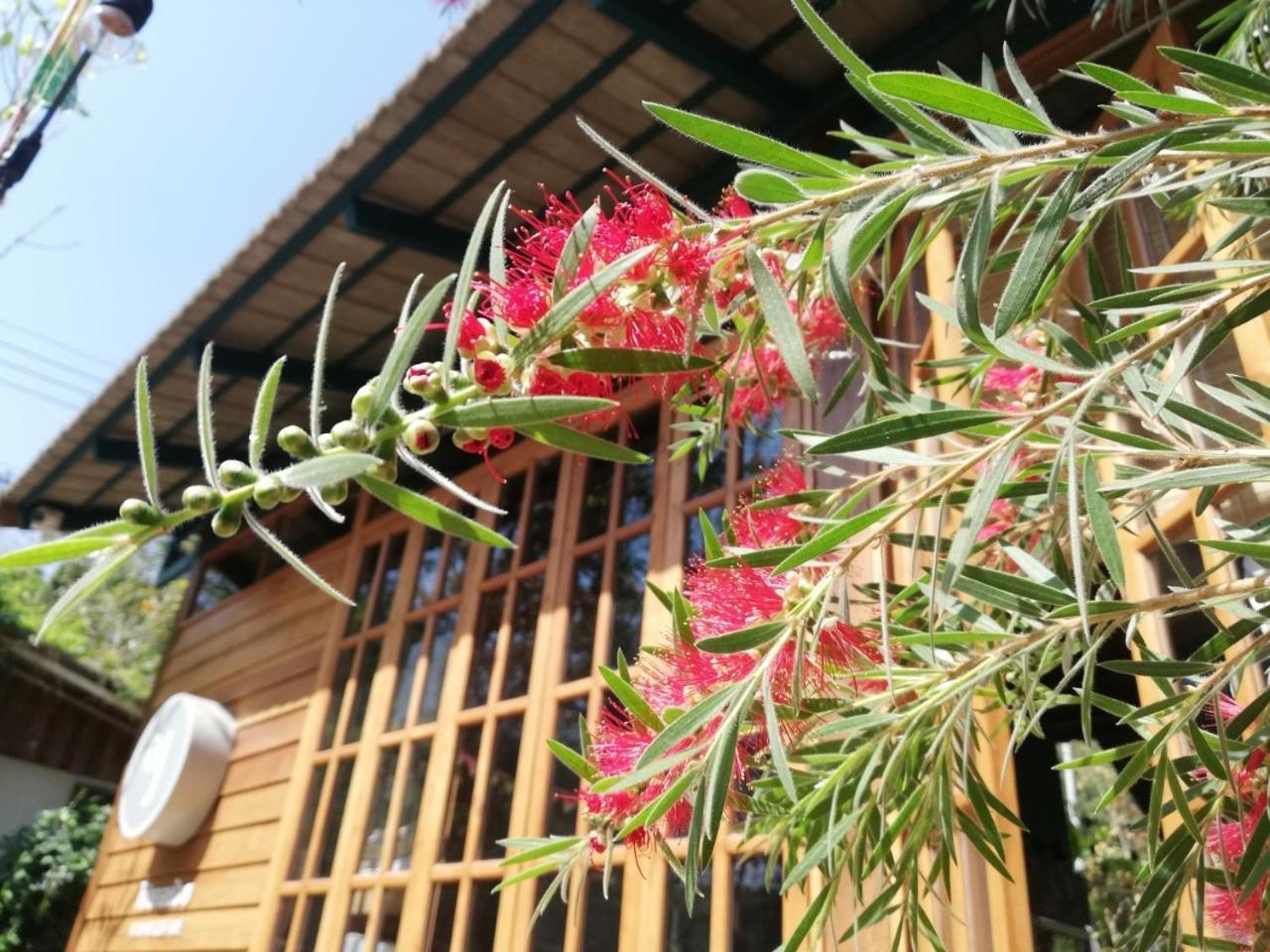 Paiyannoi Guesthome Chiang Mai Dış mekan fotoğraf